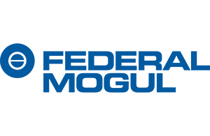 Federal Mogul aftermarket parts